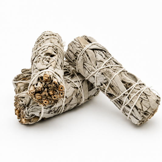Atado de Salvia blanca